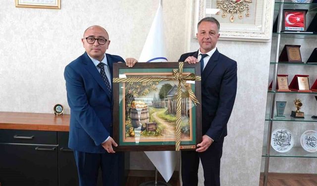 Erdemli ile Romanya'nın Braila kenti kardeş şehir oldu