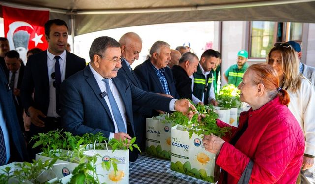 Gölbaşı'nda vatandaşlara 190 bin ata tohumu fidesi dağıtıldı