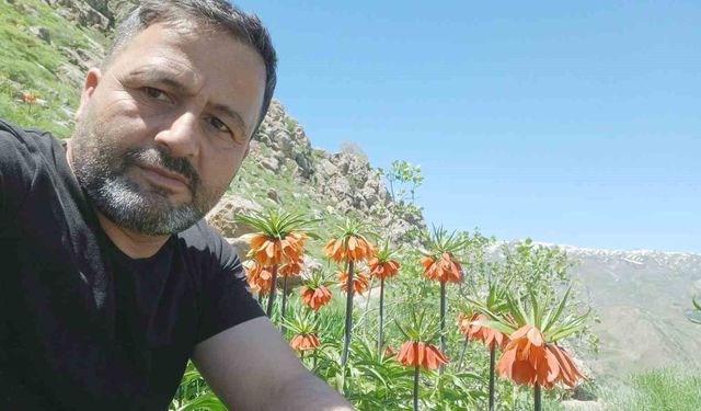 Hakkari'de 2 bin 700 rakımda ters laleler görüntülendi