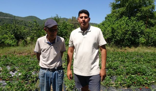 Marmaris'te baba oğulun çilek mesaisi