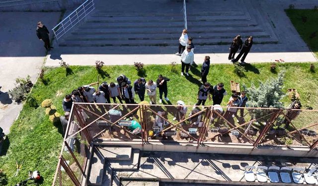 Okul bahçesi lavanta ve güllerle donatıldı