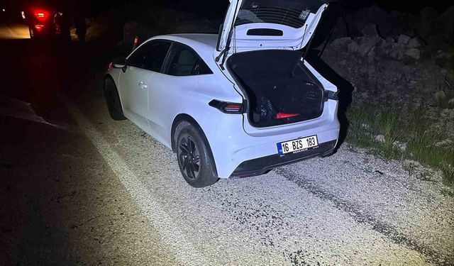 Önüne aniden çıkan köpeğe duramayarak çarptı