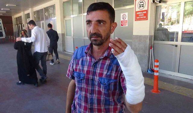 Şanlıurfa'da bayramın ilk gününde 232 acemi kasap hastanelik oldu