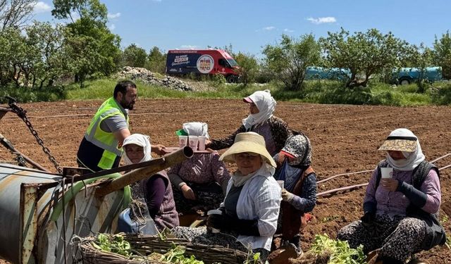 Tarım işçilerine serinleten ikram