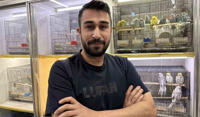 Teknoloji bağımlılığına karşı evcil hayvan önerisi