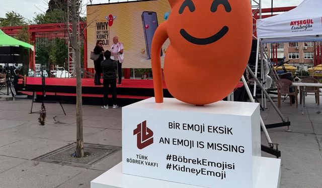 Türkiye'den dijital dünyaya çağrı: Böbrek sağlığının da emojisi olsun