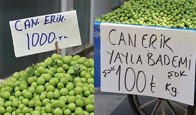 Mersin’de eriğin fiyatı bin TL’den, 100 TL’ye kadar düştü
