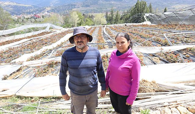 Mahallenin tek kadın çiftçisi, kardan zarar gören gül bahçesi için destek bekliyor