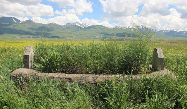 93 Harbi'nin meçhul şehidi 149 yıldır Erzurum Ovası'nda nöbet tutuyor