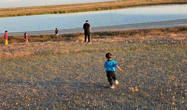 Adilcevaz'daki göletler yağışlarla yeniden doldu