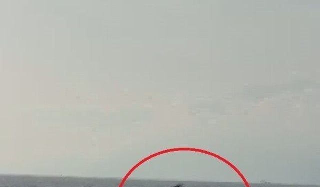 Akdeniz açıklarında balıkçı teknesini selamlayan yunuslar görüntülendi