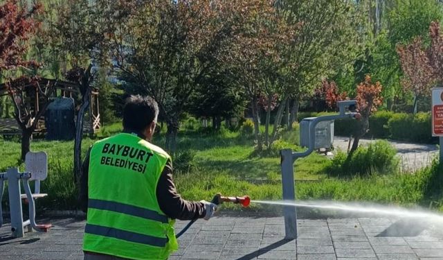 Bayburt'ta kene riskine karşı yeşil alanlar ilaçlandı
