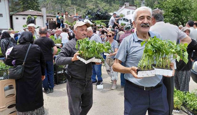 Bolu'da ücretsiz fide dağıtımına yoğun katılım