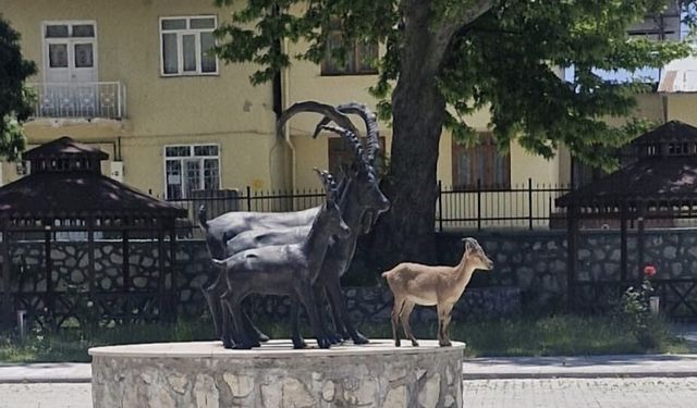 Çemişgezek'te tebessüm ettiren an: Gerçeği ve heykeli aynı karede