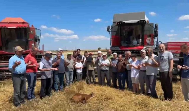 Edirne'de buğday hasadı dualarla başladı