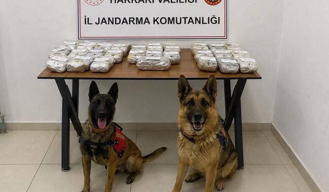 Hakkari'de 21 kilo 650 gram toz esrar ele geçirildi
