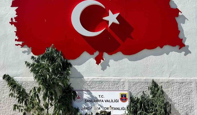 Hilvan'da uyuşturucu operasyonu: 1 gözaltı