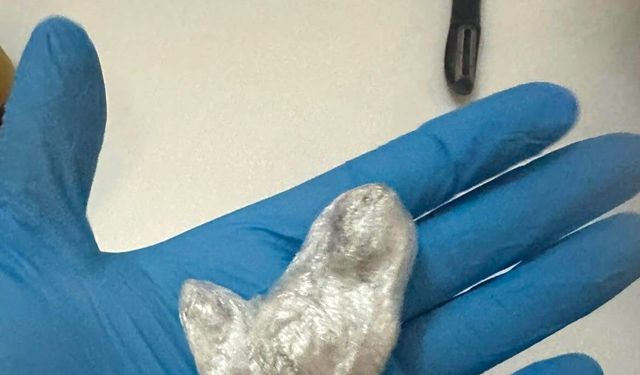 İstanbul'da ünlülere uyuşturucu operasyonunda 8,43 gram esrar ele geçirildi