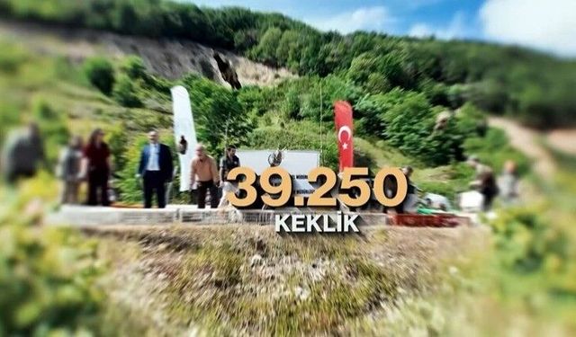 Kene ve kahverengi kokarcaya karşı doğal mücadele: 51 bin keklik ve sülün salınacak