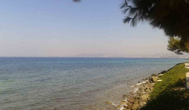 Kuşadası'nda deniz suyu kalitesi yüz güldürdü