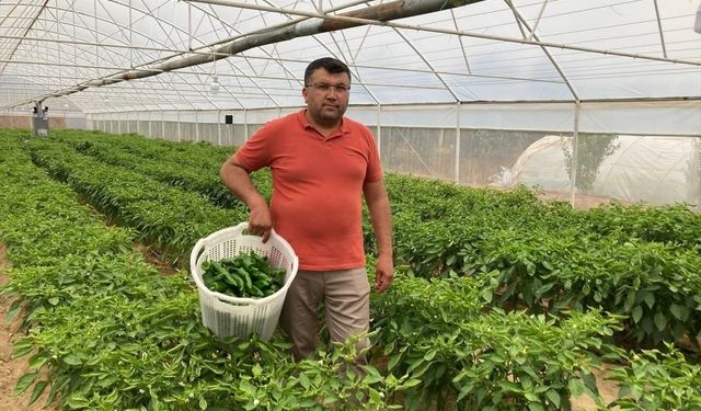 Lezzeti fiyatını unutturuyor