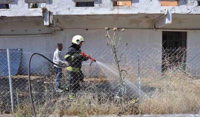 Menteşe'de otel arkasındaki otluk alanda yangın
