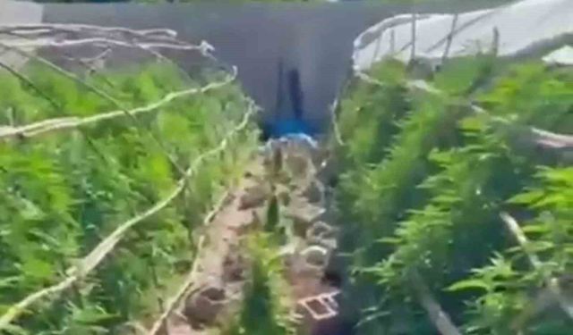 Seraları uyuşturucu üretim tesisine çeviren şahıslara operasyon