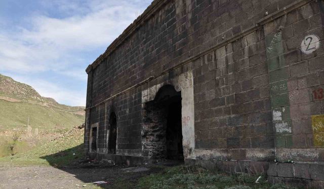 Tarihe terk edilen miras: Kars'taki tabyalar hayvan barınağına dönüştü