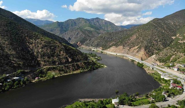 Torul Baraj Gölü'nde alg patlaması, suyun yüzeyi koyulaştı