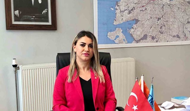 Türkiye'de 215 yeni diri fay keşfedildi
