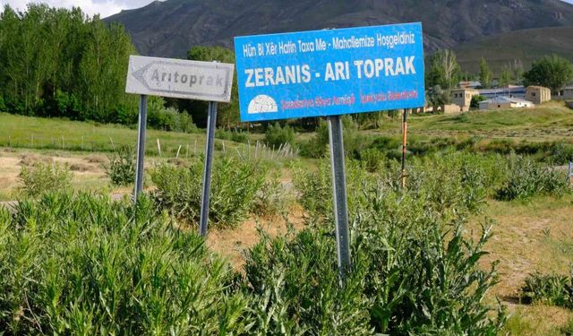 Van'da kuduz alarmı