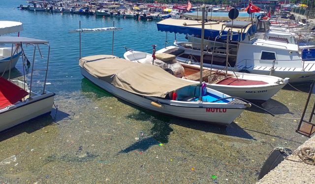 Balıkçı Barınağı alarm veriyor: Mikroplastikten deniz görünmüyor