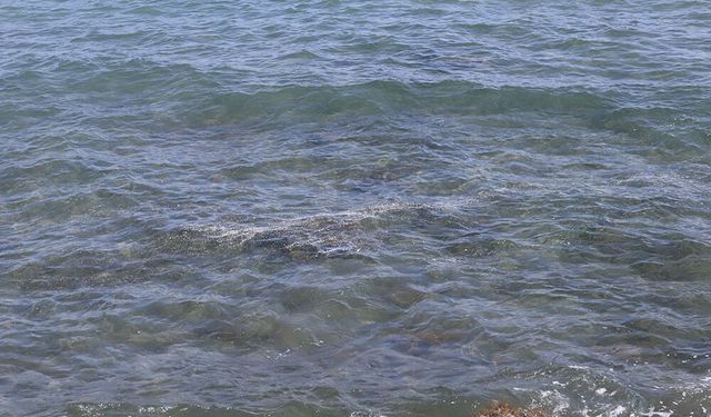 Mersin’de deniz suyunun ısınmasıyla müsilaj görülmeye başladı