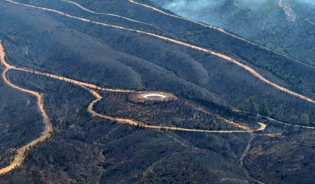 Alanya'daki orman yangınında şu ana kadar 305 dekar alan etkilendi