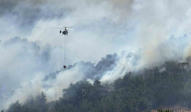 Balıkesir'de tek yangın cephesi: Gömeç