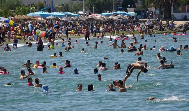 Bursa'nın sahillerinden Temmuz ayında da sevindiren haber