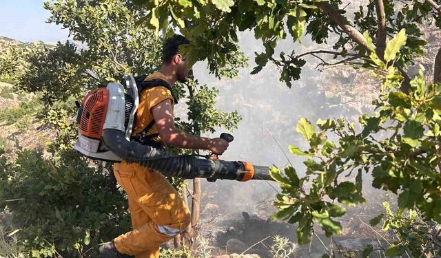 Diyarbakır'da 15 dönüme yakın ormanlık alan yandı