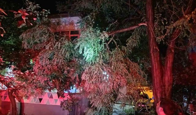 Erdek'te fırtına ve dolu yağışı: Ağaçlar devrildi, çatılar uçtu