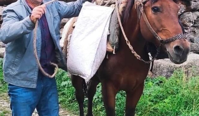 Erzurum'da acı olay: Psikolojik tedavi gören şahıs derede can verdi