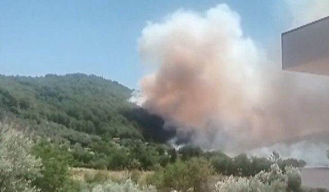 Fethiye'de orman yangını