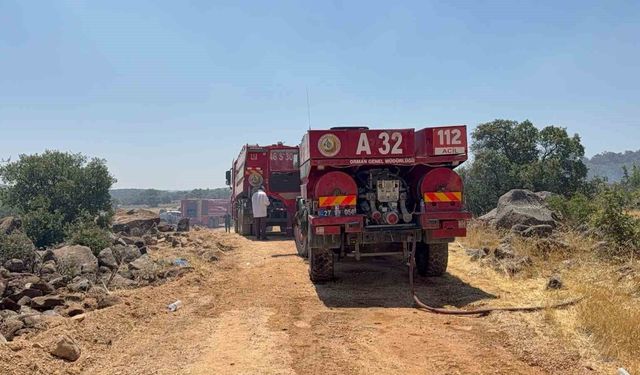 Gaziantep'te orman yangını: Ekiplerin müdahalesi sürüyor