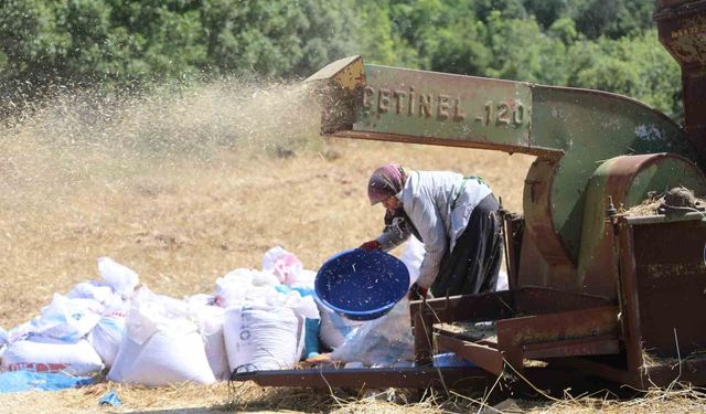 Hataylı çiftçilerin kavurucu sıcakta tozlu mesaisi sürüyor