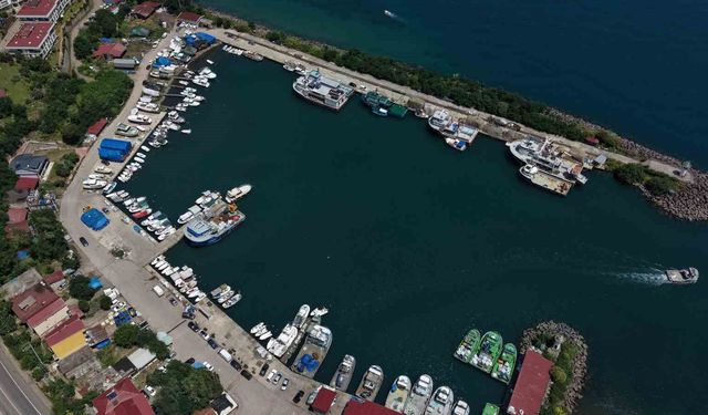Karadenizli balıkçılar sezon için ağ bakımlarını sürdürüyor