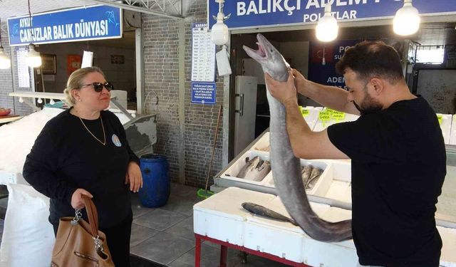 Mersin'de dev yılan balığı tezgahta ilgi odağı oldu