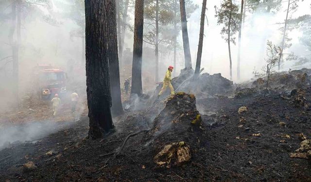 Muğla Valiliğinden 'Yangın' uyarısı