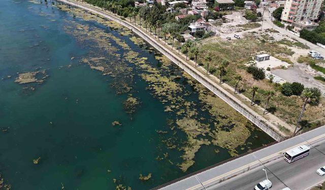 Seyhan Nehri kirliliğe teslim oldu, gönüllü genç sandalla temizliğe çıktı