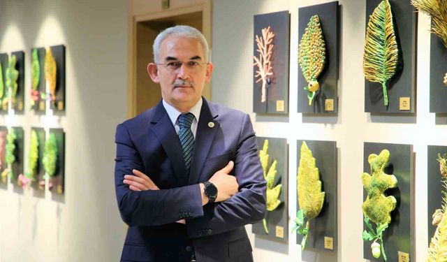 Türkiye'ye lavanta ihracatı ile 5 yılda ekosisteme 765 bin dolar döviz girdisi sağlandı