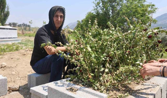 Yolunu gözlediği iki çocuğunun babası kazada can verdi