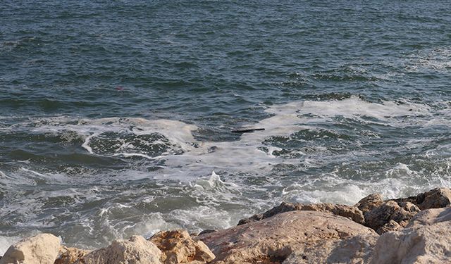 Mersin’de müsilaj giderek artıyor