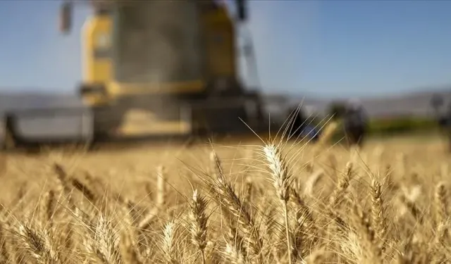 Tarım-GFE yıllık yüzde 36,65 arttı